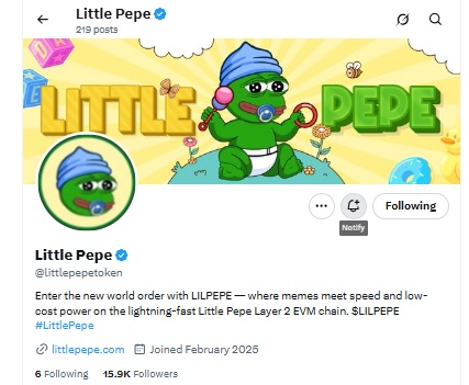 Little  Pepe X Account